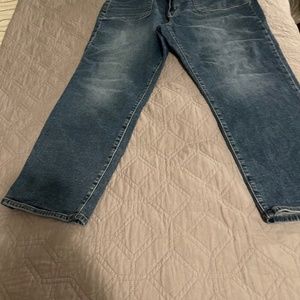 Loft Curvy Size 16